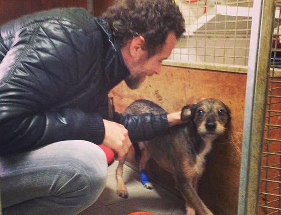 Jovanotti dal cuore d'oro: donazione record per i cani del canile di  Cortona - Razze di cani